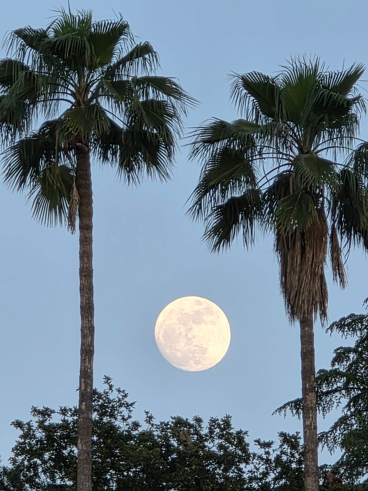 New Beginnings: Life, Work, and Passions