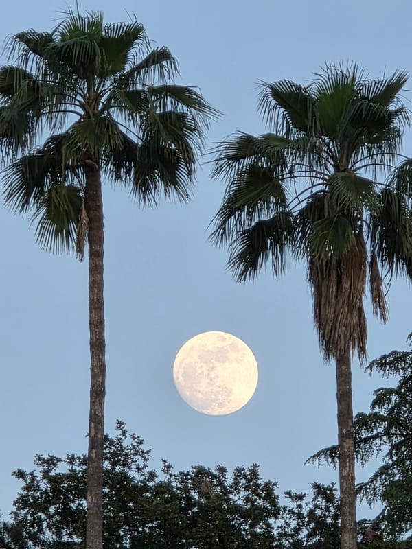 New Beginnings: Life, Work, and Passions